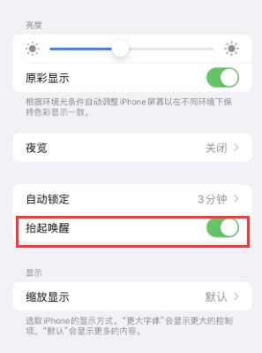 蜀山苹果授权维修站分享iPhone轻点无法唤醒怎么办