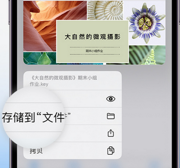 蜀山apple维修中心分享iPhone文件应用中存储和找到下载文件