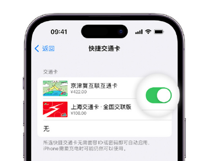 蜀山apple维修点分享iPhone上更换Apple Pay快捷交通卡手绘卡面 