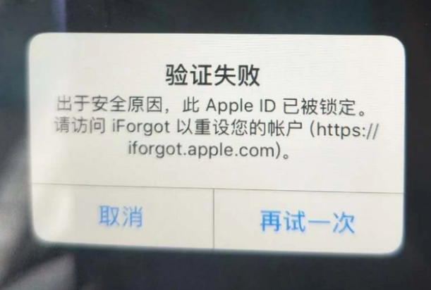 蜀山iPhone维修分享iPhone上正常登录或使用AppleID怎么办 