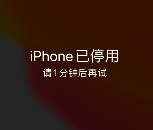 蜀山苹果手机维修分享:iPhone 显示“不可用”或“已停用”怎么办？还能保留数据吗？ 