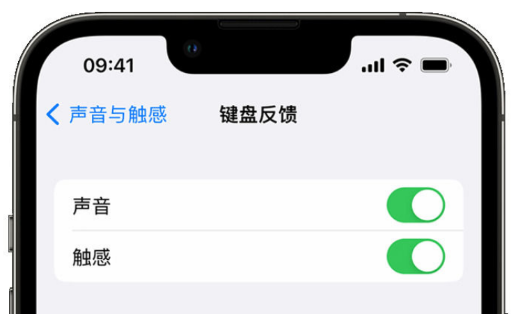 蜀山苹果手机维修分享iPhone 14触感键盘使用方法 