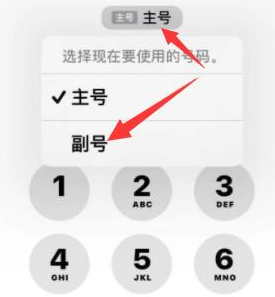 蜀山苹果14维修店分享iPhone 14 Pro Max使用副卡打电话的方法 