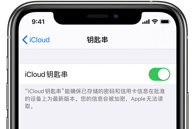 蜀山苹果手机维修分享在 iPhone 上开启 iCloud 钥匙串之后会储存哪些信息 