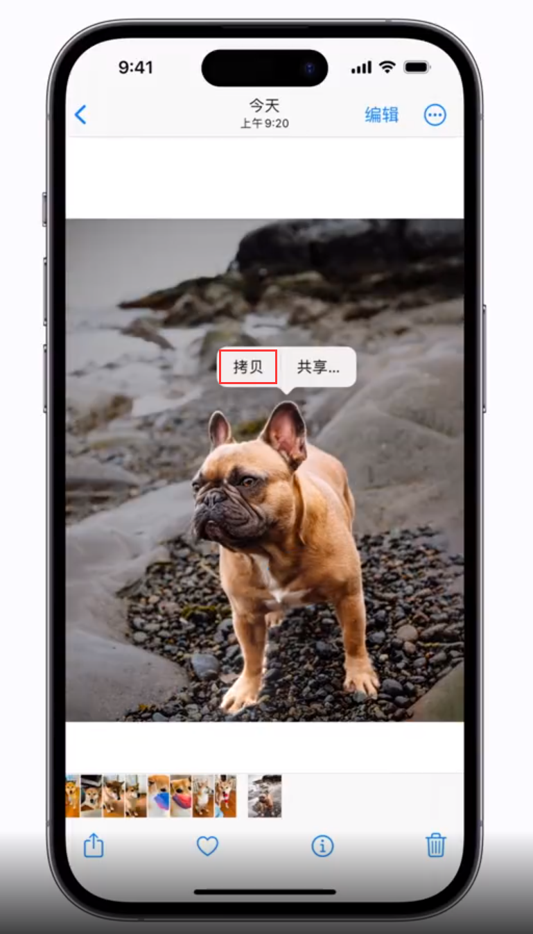 蜀山苹果手机维修分享 iOS 16 自带一键抠图功能 