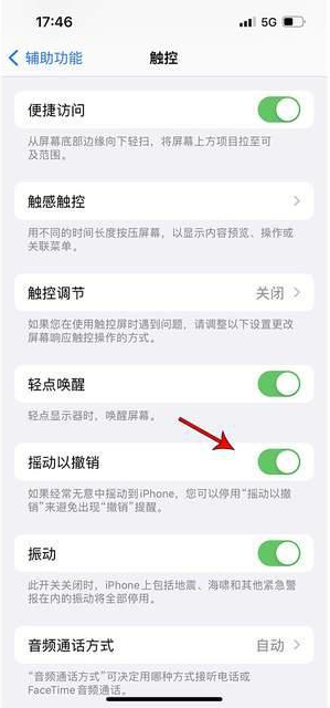 蜀山苹果手机维修分享iPhone手机如何设置摇一摇删除文字 