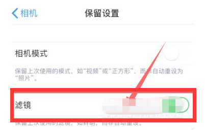 蜀山苹果13维修分享iPhone13拍照有绿点是怎么回事 