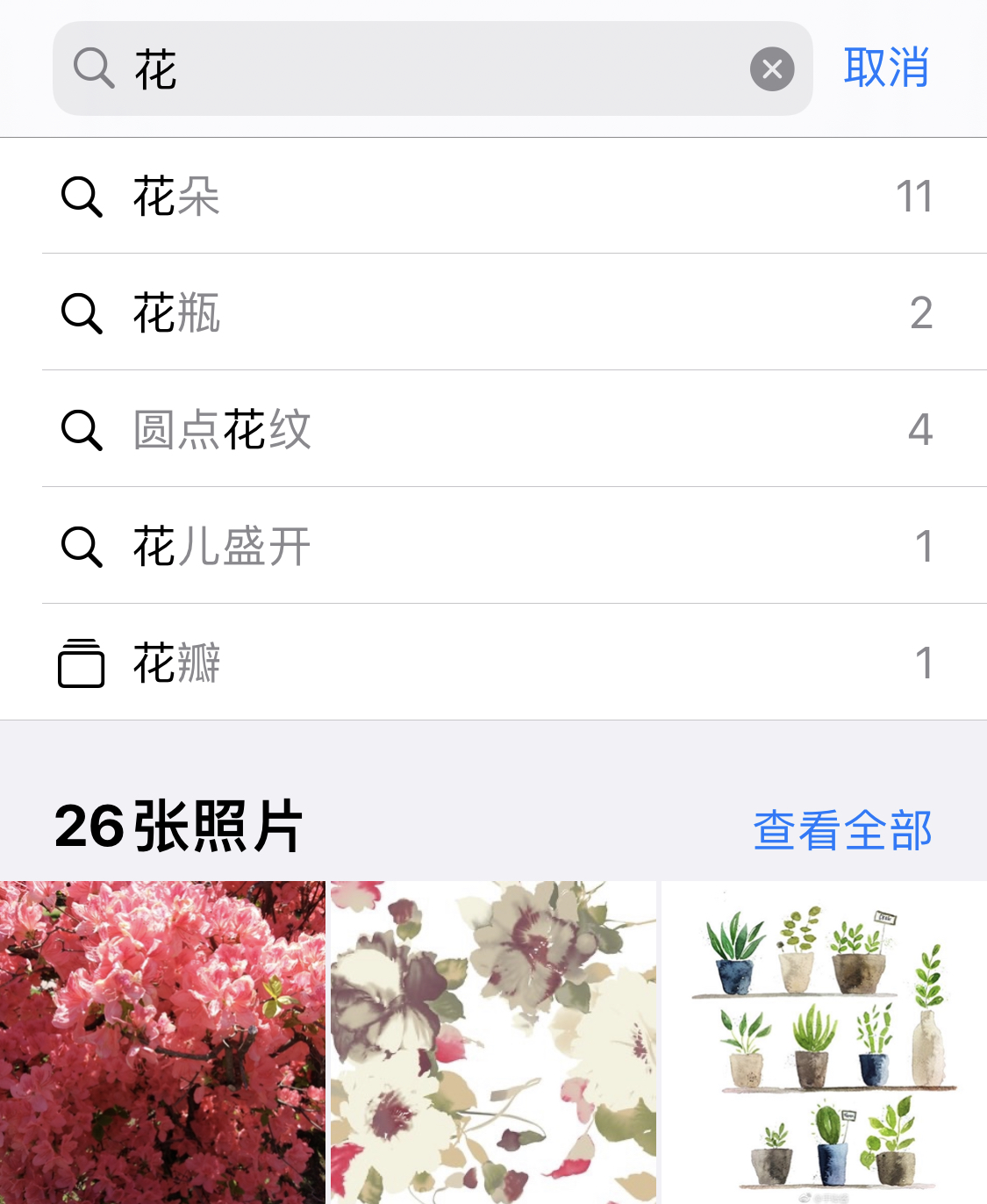 蜀山苹果手机维修分享iPhone 小技巧 