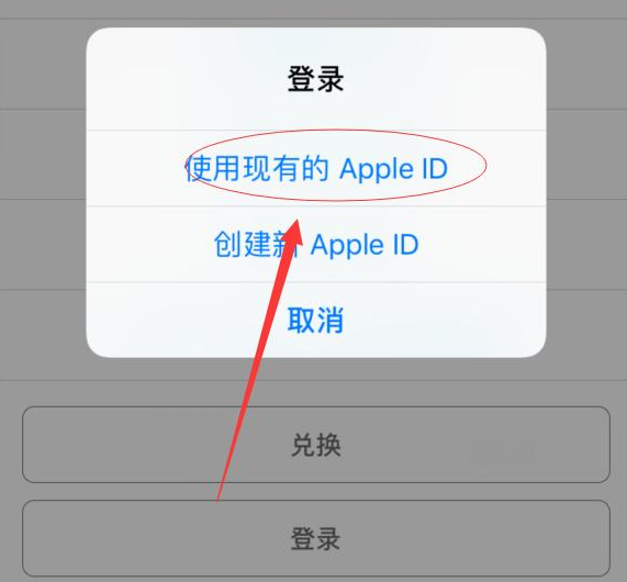 蜀山苹果手机维修分享两台iPhone设备可以同时登录一个Apple ID吗 