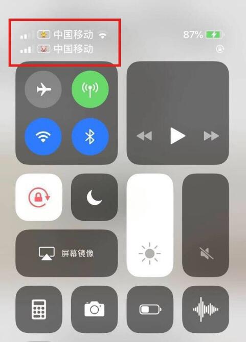 蜀山苹果手机维修分享为 iPhone 12 双卡设置标签 