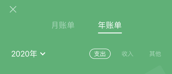 蜀山苹果手机维修分享如何在 iPhone 上查看支付宝和微信年支出账单 